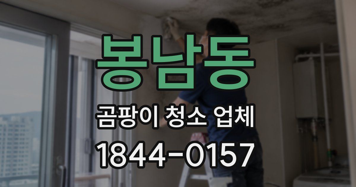 봉남동 곰팡이 청소 업체
