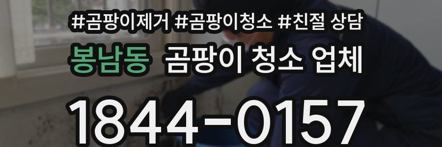 봉남동 곰팡이 청소 업체
