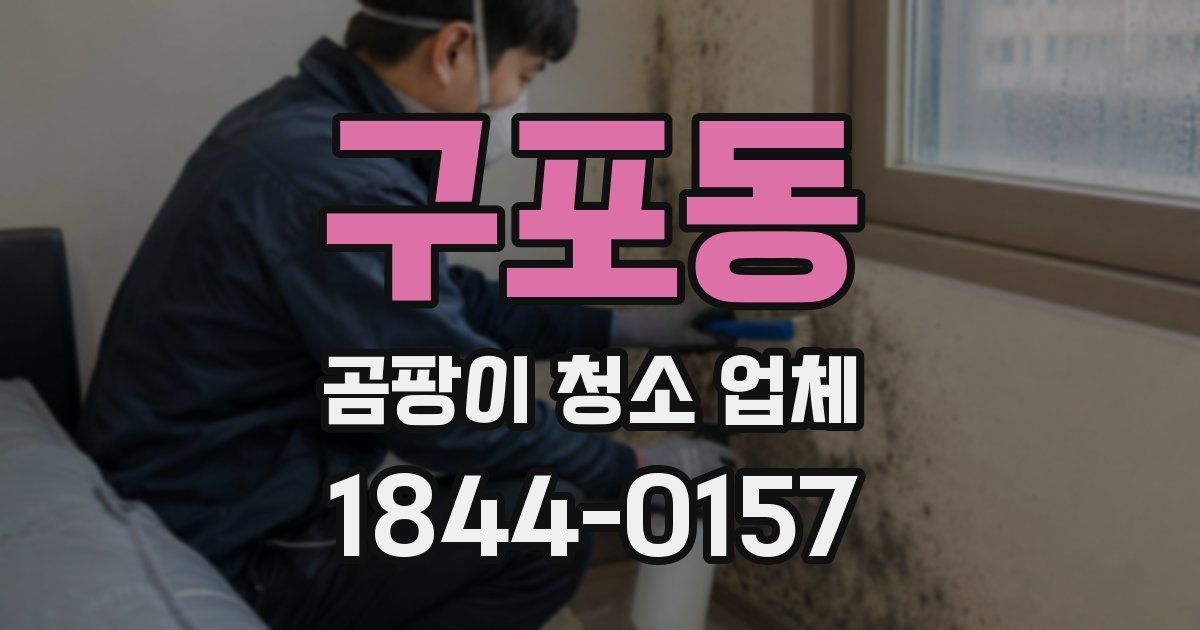 구포동 곰팡이 청소 업체