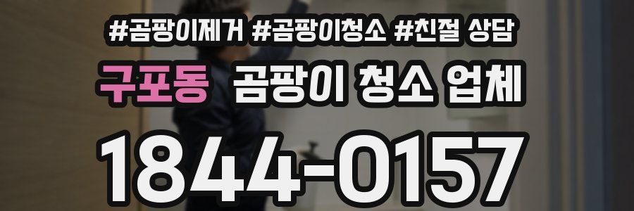 구포동 곰팡이 청소 업체
