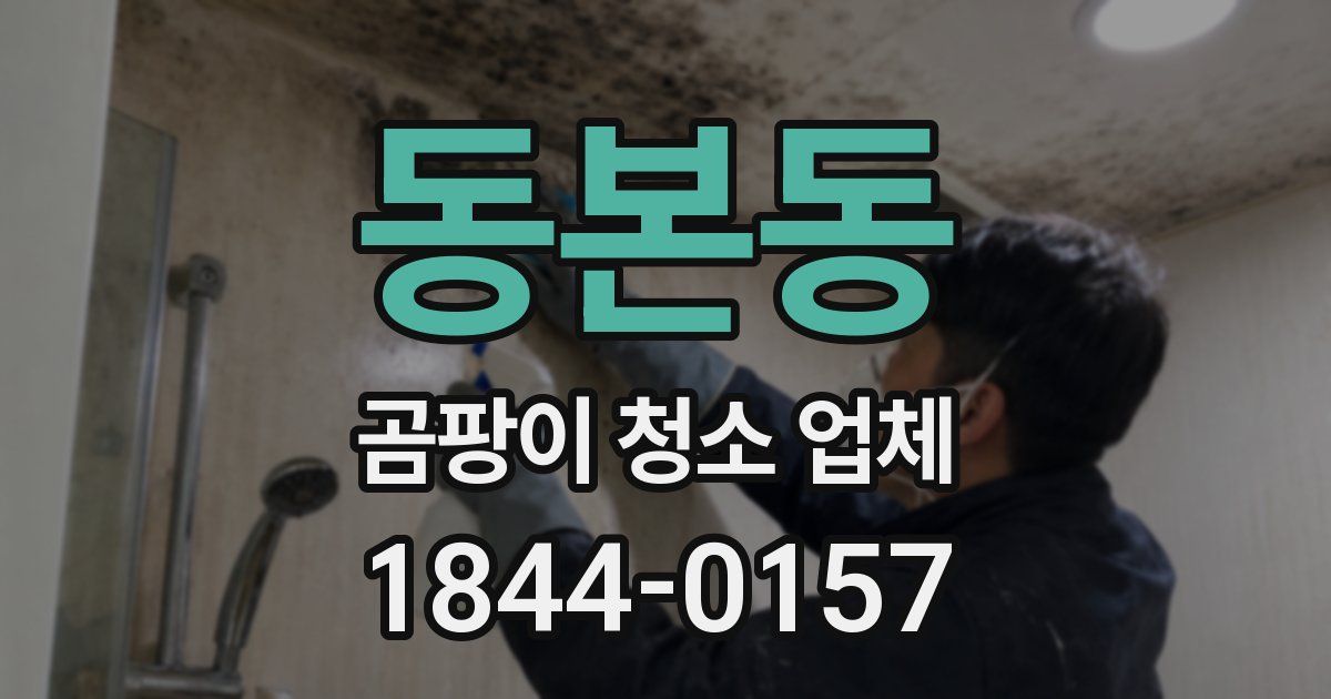 동본동 곰팡이 청소 업체