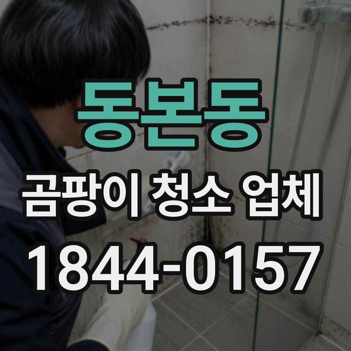 동본동 곰팡이 청소 업체