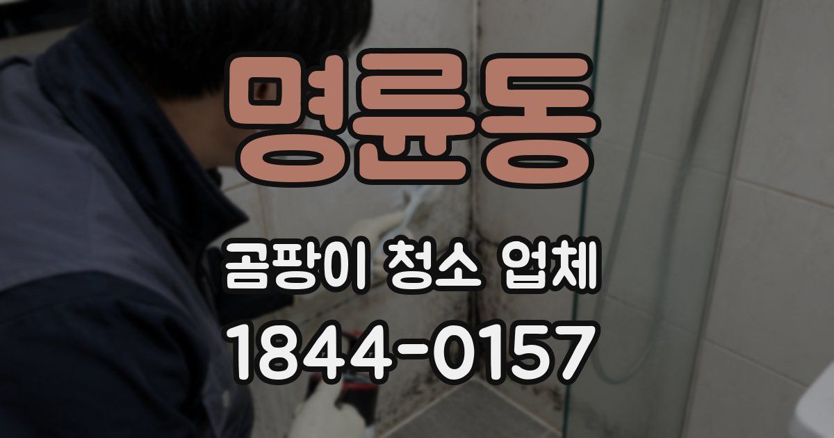 명륜동 곰팡이 청소 업체