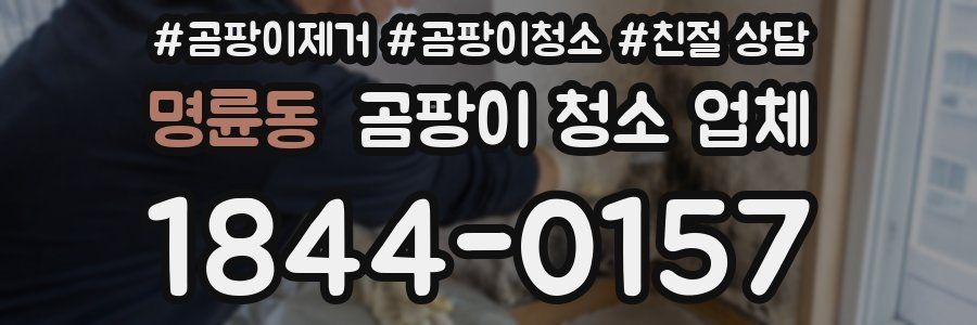 명륜동 곰팡이 청소 업체
