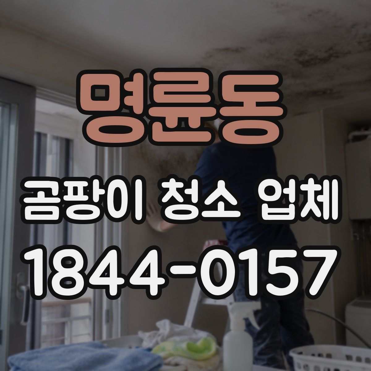 명륜동 곰팡이 청소 업체