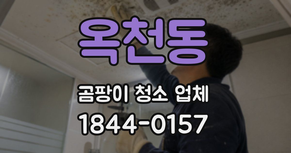 옥천동 곰팡이 청소 업체