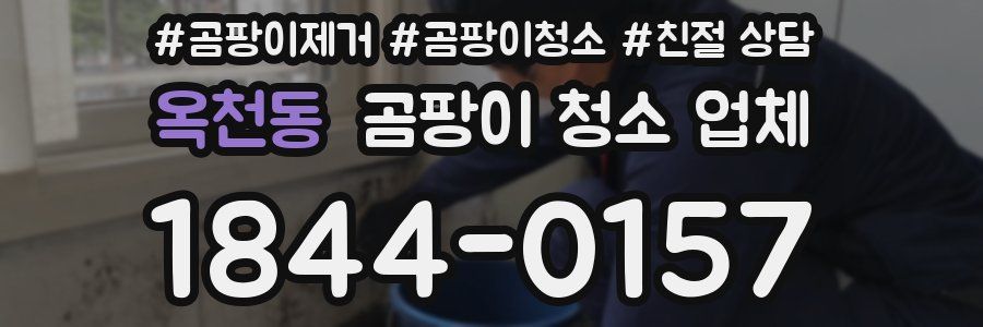 옥천동 곰팡이 청소 업체