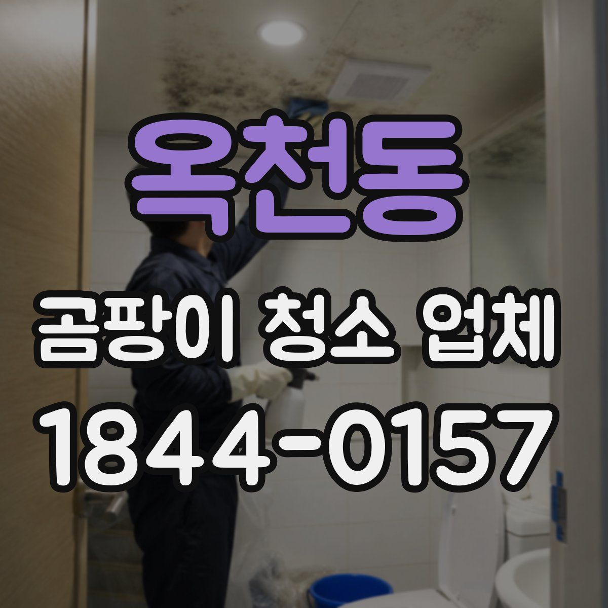 옥천동 곰팡이 청소 업체