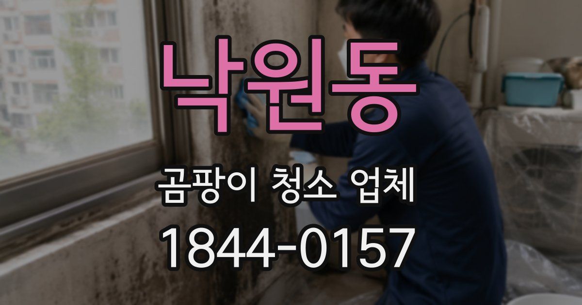 낙원동 곰팡이 청소 업체