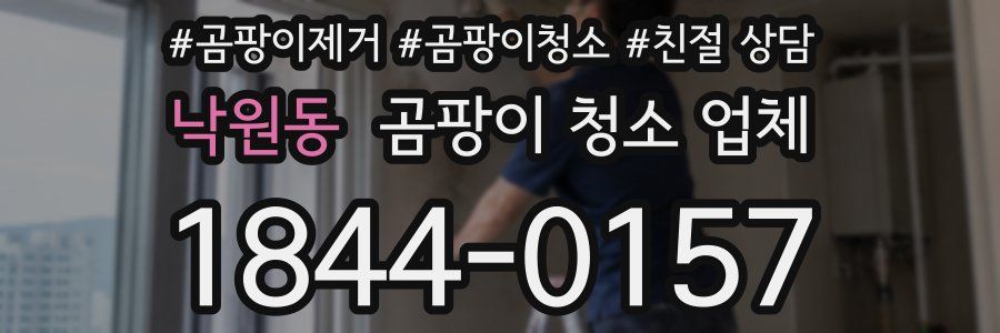 낙원동 곰팡이 청소 업체