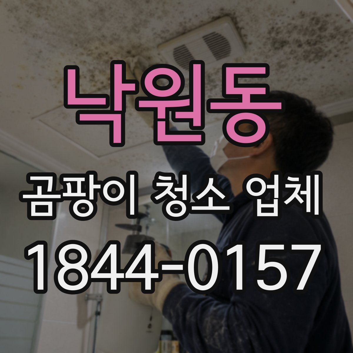 낙원동 곰팡이 청소 업체
