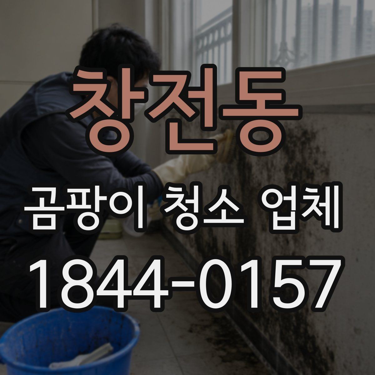 창전동 곰팡이 청소 업체 선택 전 확인할 기준
