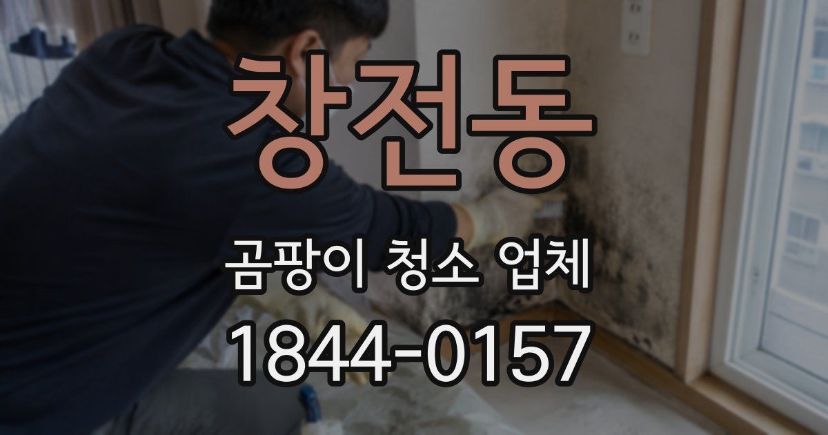 창전동 곰팡이 청소 업체
