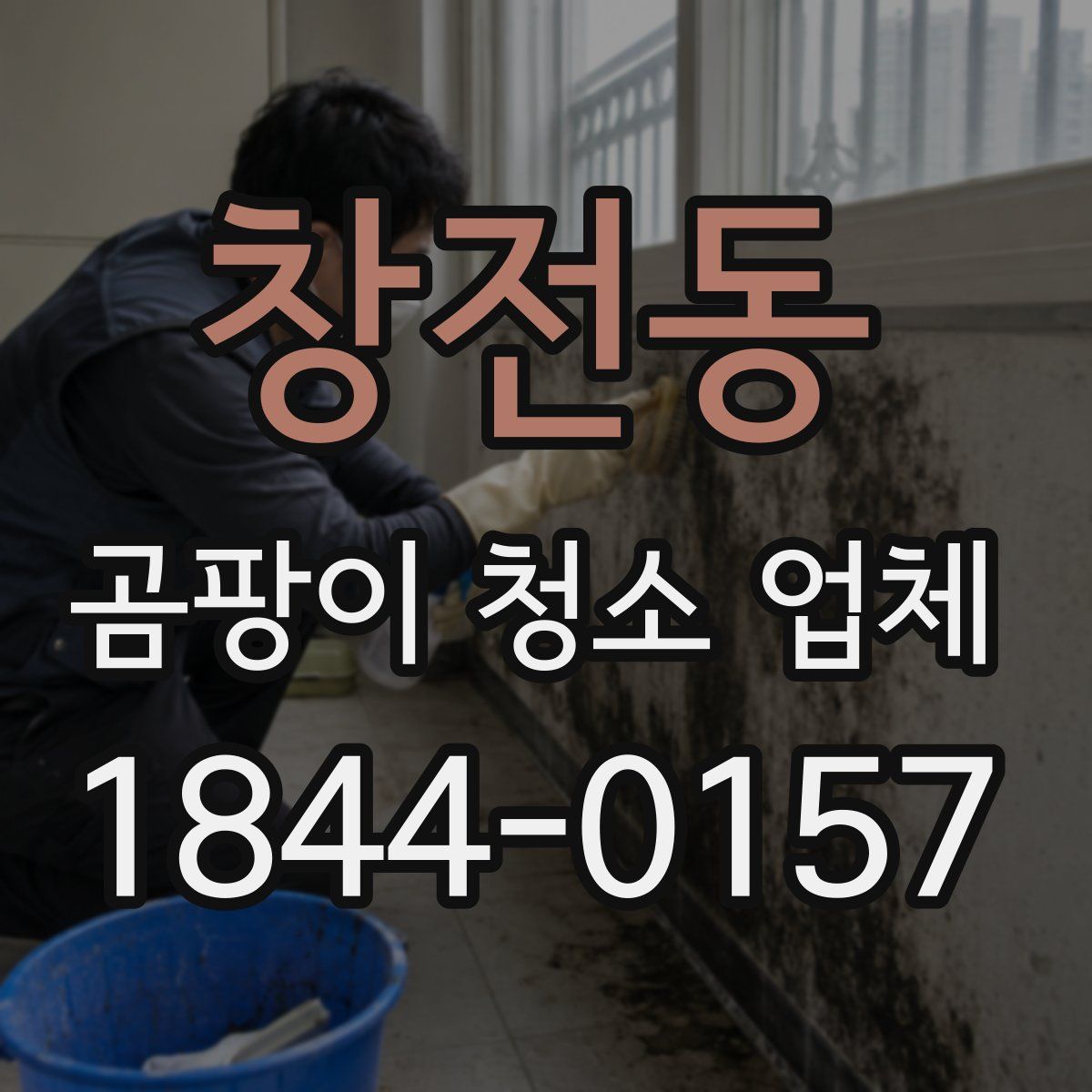 창전동 곰팡이 청소 업체