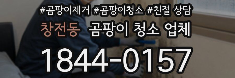 창전동 곰팡이 청소 업체