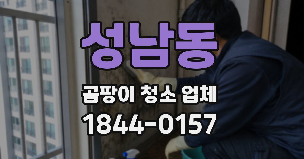 성남동 곰팡이 청소 업체