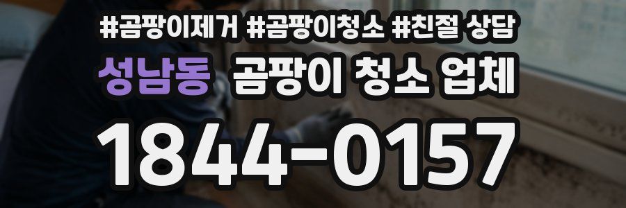 성남동 곰팡이 청소 업체