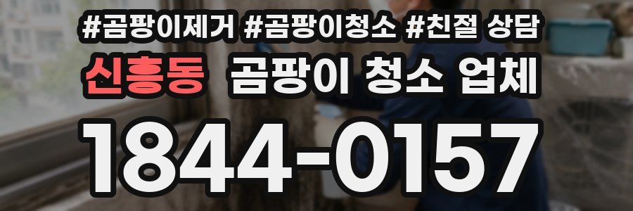 신흥동 곰팡이 청소 업체