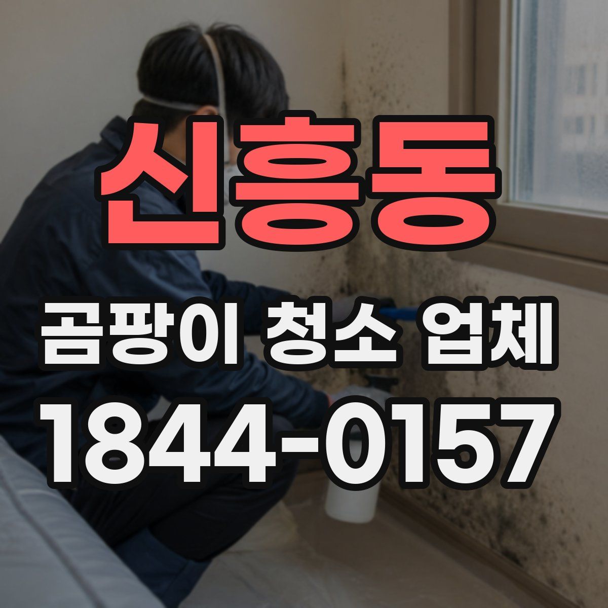 신흥동 곰팡이 청소 업체