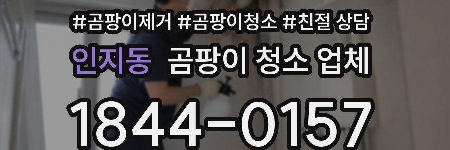 인지동 곰팡이 청소 업체