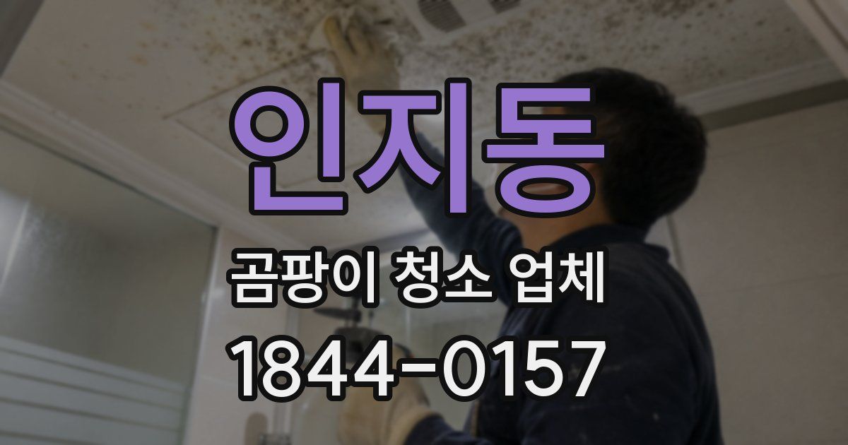 인지동 곰팡이 청소 업체