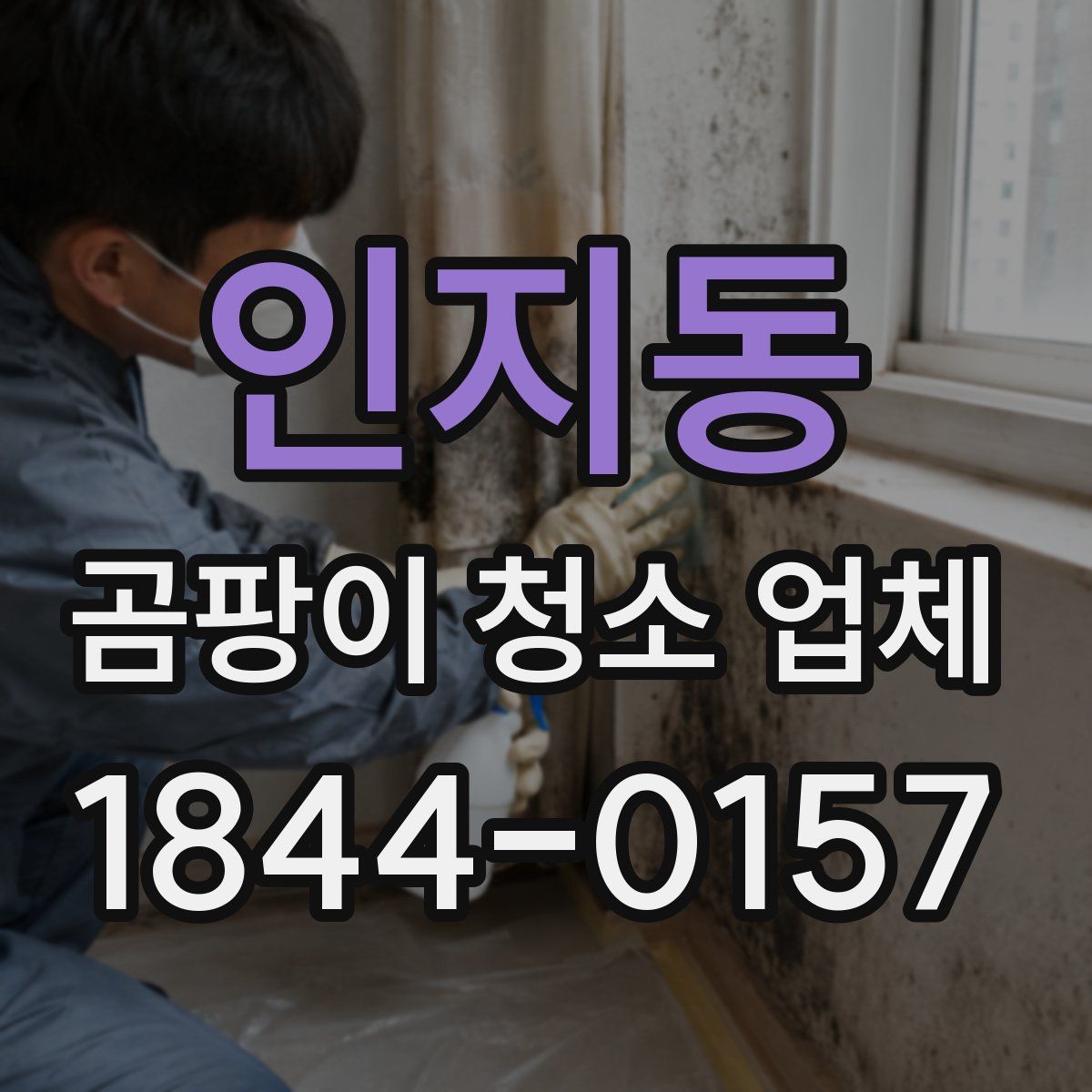 인지동 곰팡이 청소 업체