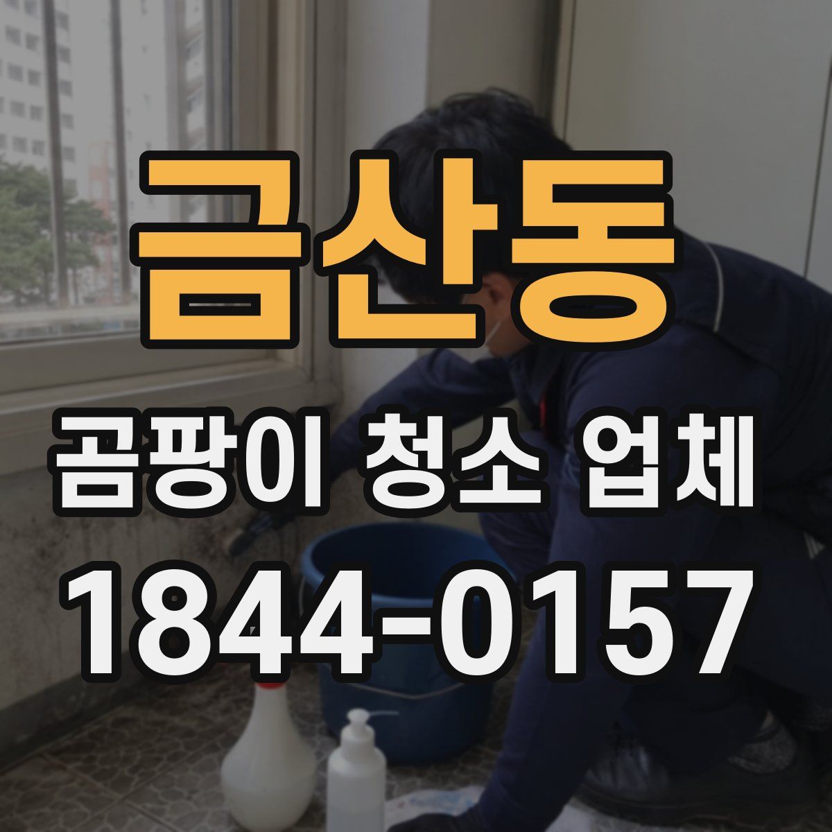 금산동 곰팡이 청소 업체