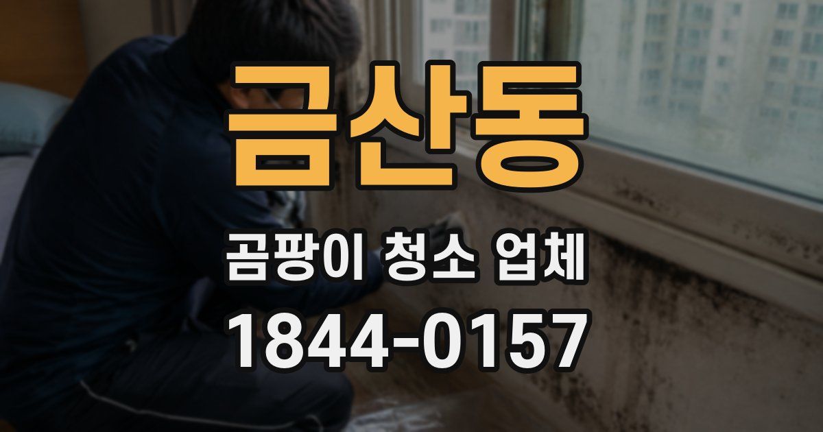 금산동 곰팡이 청소 업체
