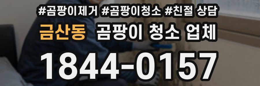 금산동 곰팡이 청소 업체