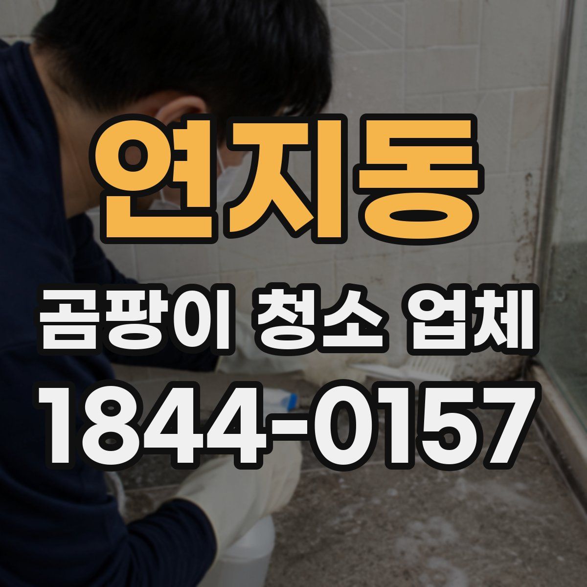 연지동 곰팡이 청소 업체
