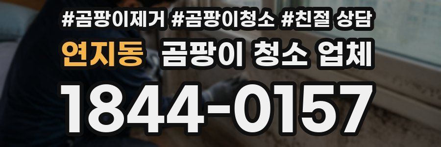 연지동 곰팡이 청소 업체