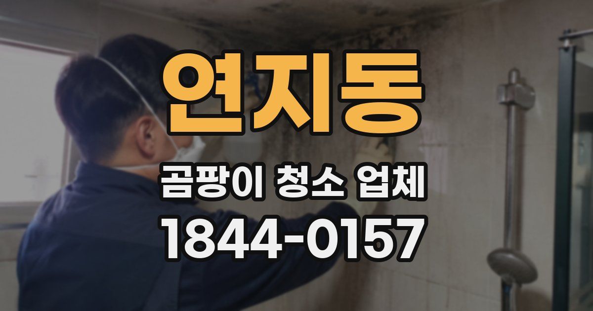 연지동 곰팡이 청소 업체