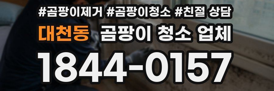 대천동 곰팡이 청소 업체