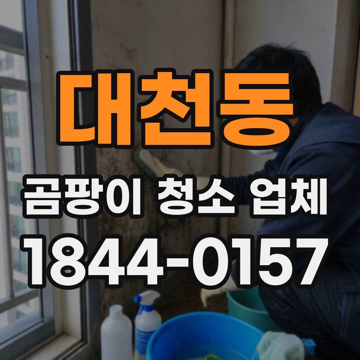 대천동 곰팡이 청소 업체