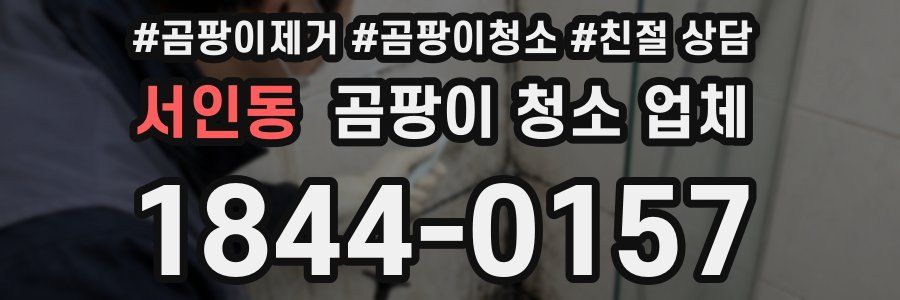 서인동 곰팡이 청소 업체