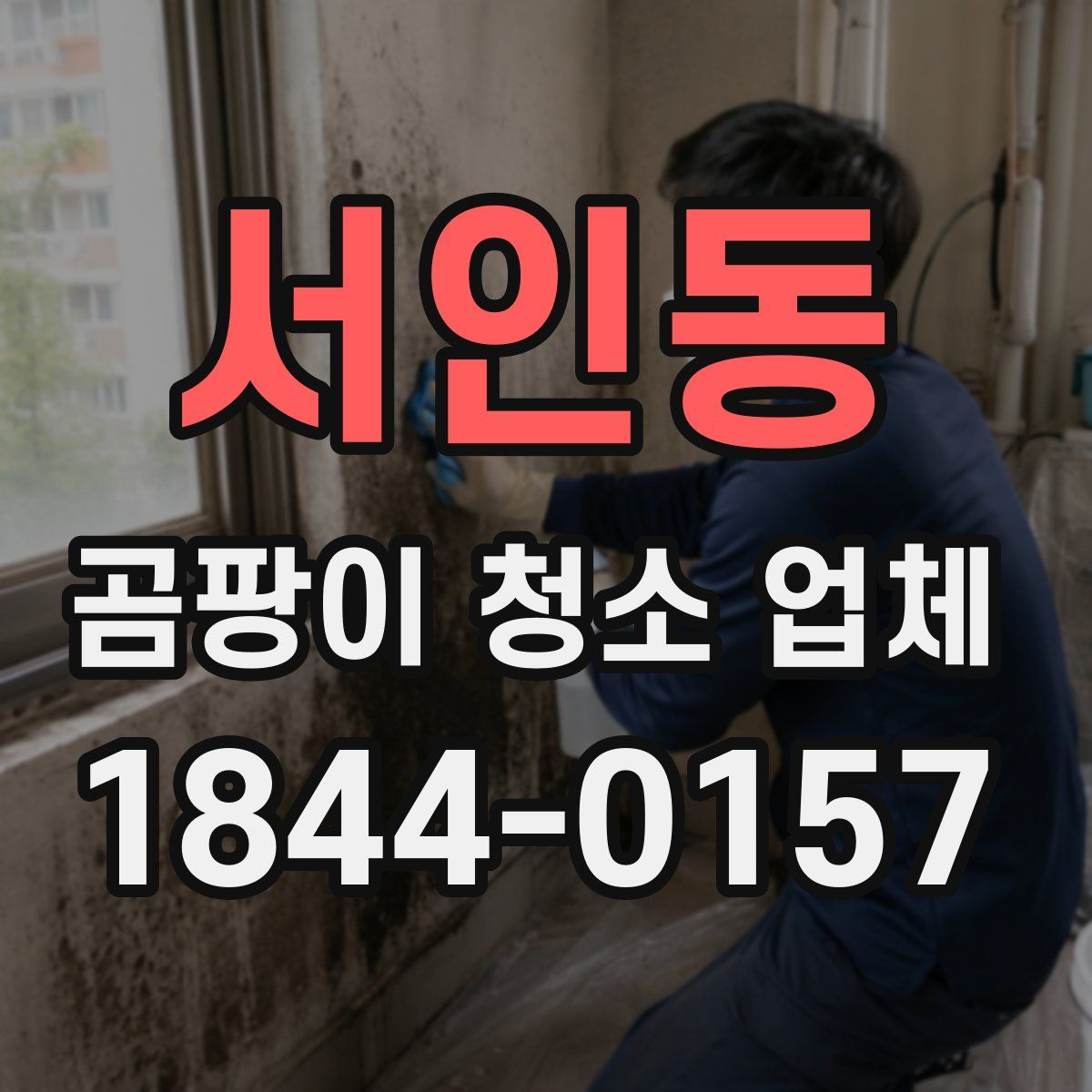 서인동 곰팡이 청소 업체