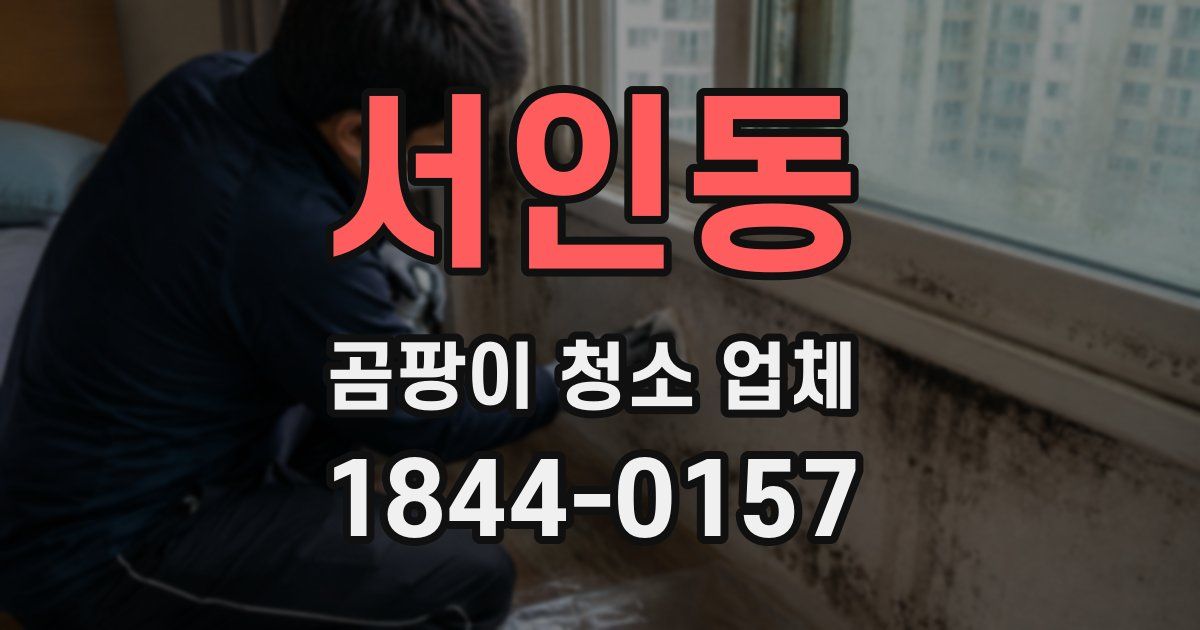 서인동 곰팡이 청소 업체