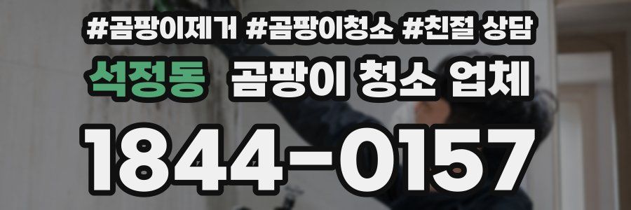 석정동 곰팡이 청소 업체