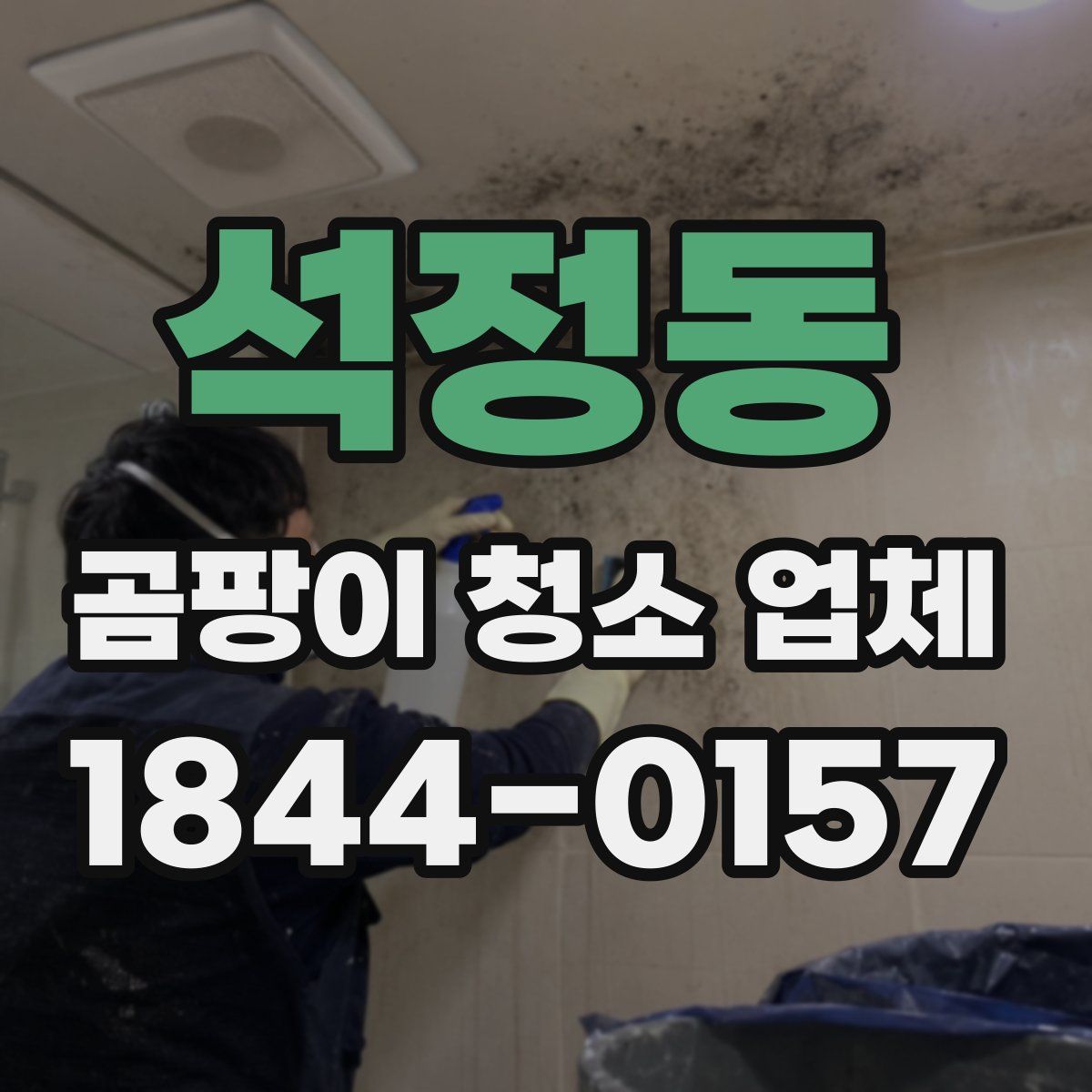석정동 곰팡이 청소 업체