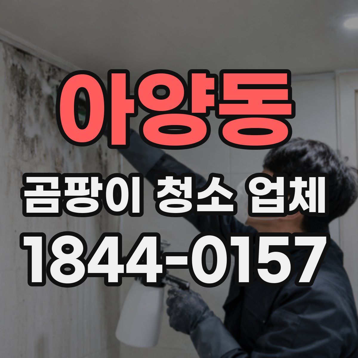 아양동 곰팡이 청소 업체