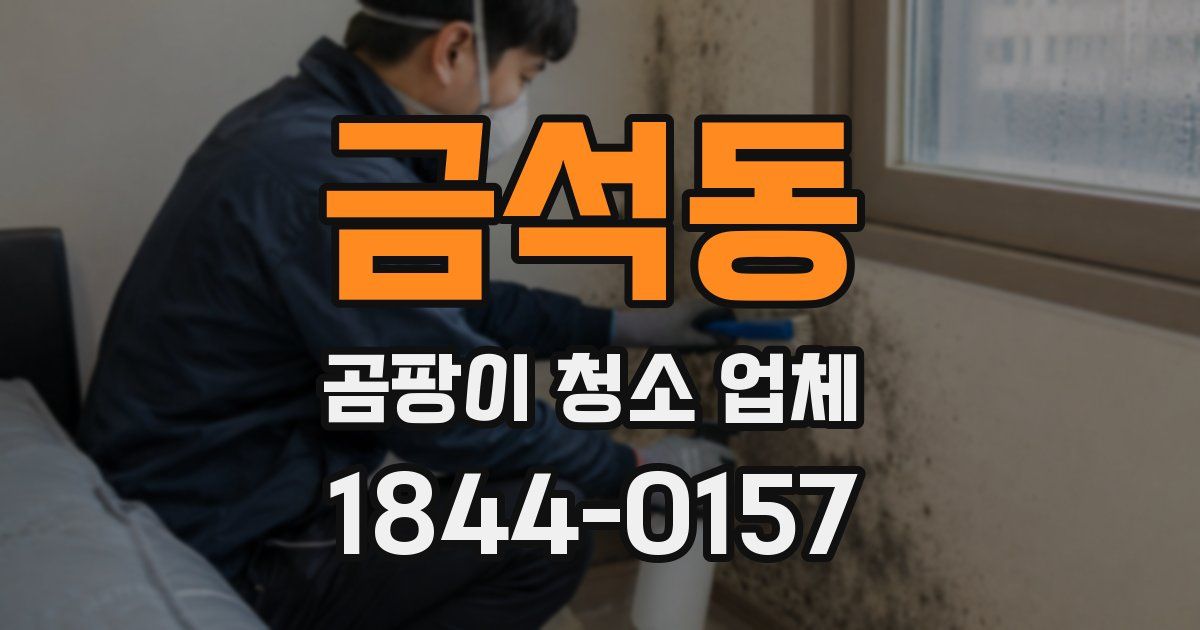 금석동 곰팡이 청소 업체