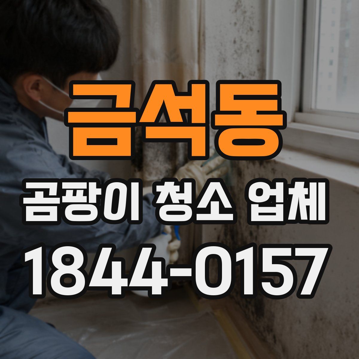 금석동 곰팡이 청소 업체