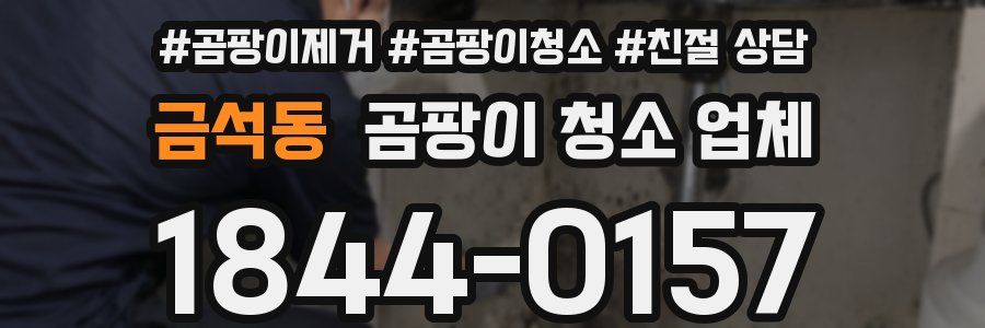 금석동 곰팡이 청소 업체