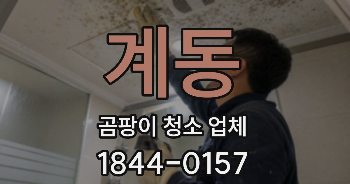 계동 곰팡이 청소 업체