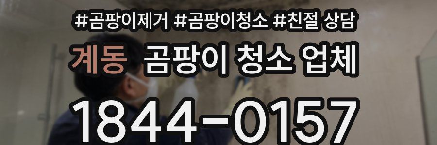 계동 곰팡이 청소 업체