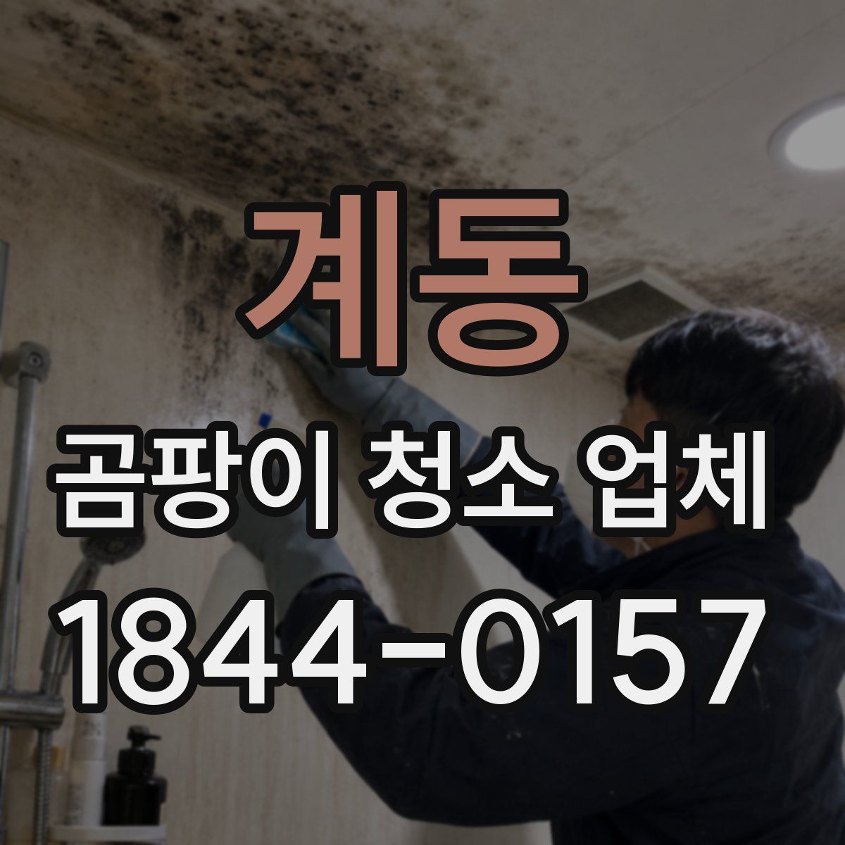 계동 곰팡이 청소 업체