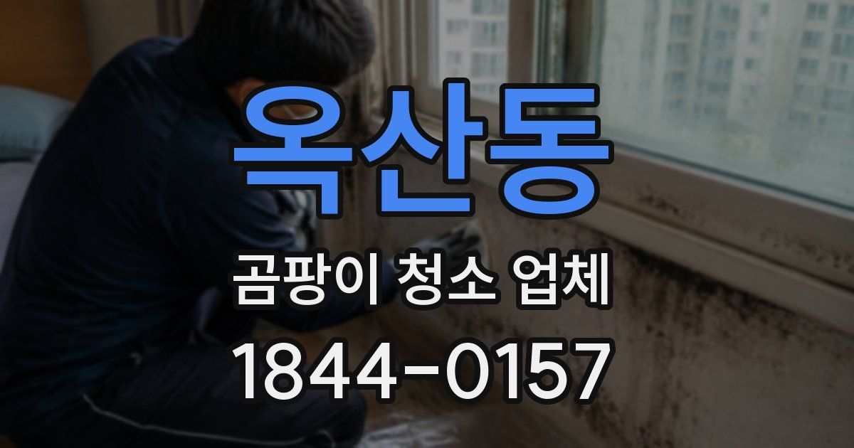 옥산동 곰팡이 청소 업체