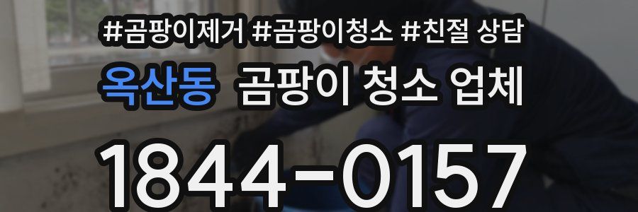 옥산동 곰팡이 청소 업체
