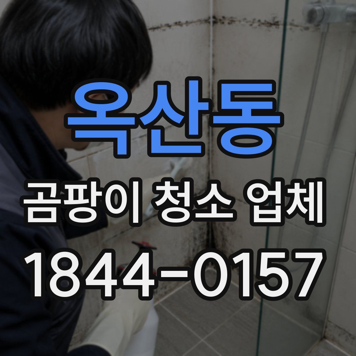 옥산동 곰팡이 청소 업체