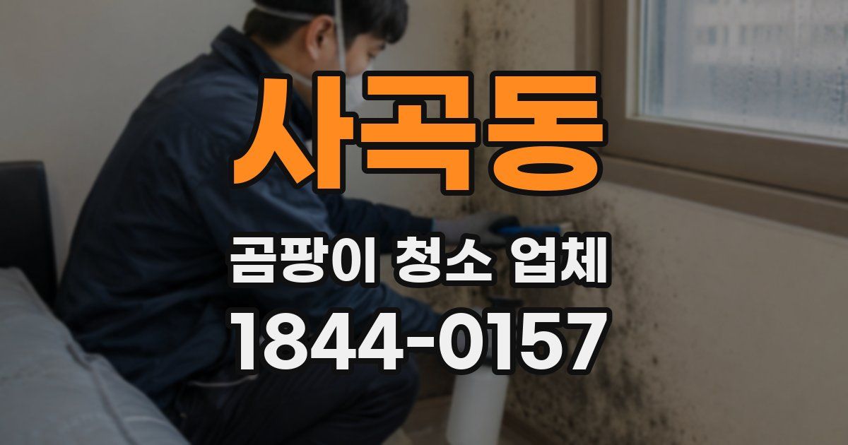 사곡동 곰팡이 청소 업체